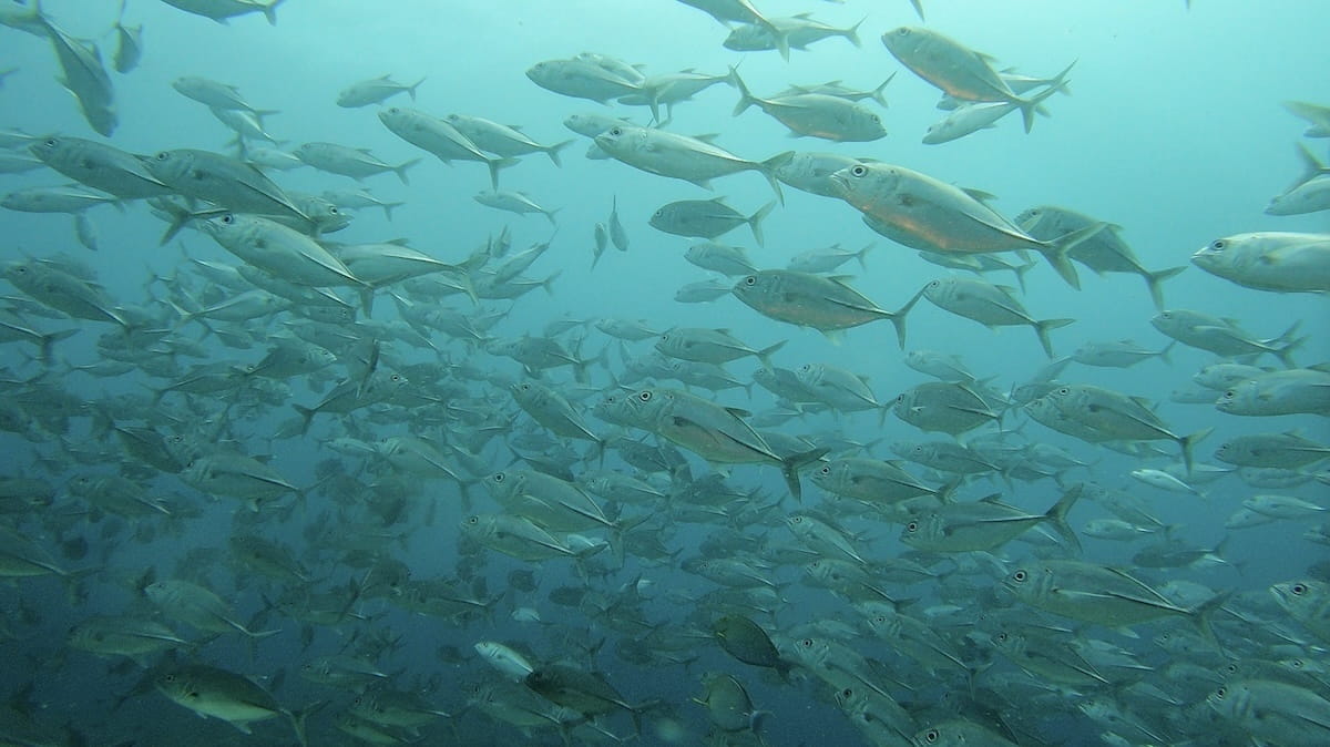 ファーストビュー画像